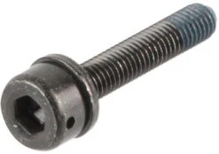 Shimano Befestigungsschrauben Für Scheibenbremsadapter Flat Mount Auf PM -Shimano 146661