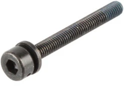 Shimano Befestigungsschrauben Für Scheibenbremsadapter Flat Mount Auf PM -Shimano 147125