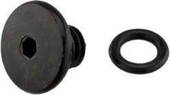 Shimano Entlüftungsschraube Für BL-M445 / BL-M396